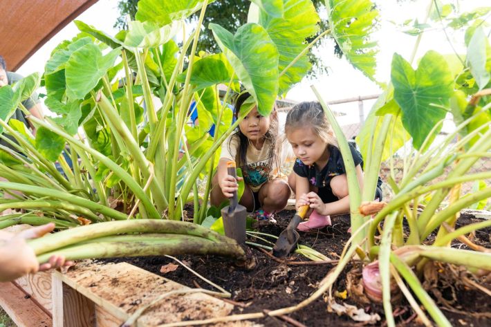 Celebrate Native Hawaiian Plant Month across ʻĀina Pauahi
