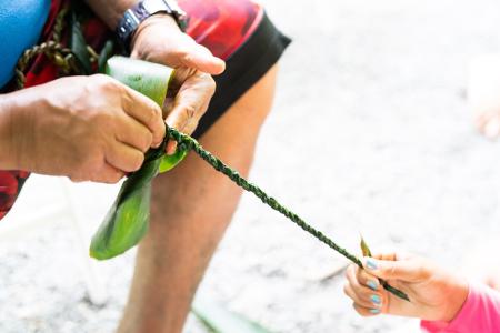 Navigating Our Future: A Workshop on Growing and Caring for Canoe Plants