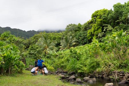 Papahana Kuaola Hoʻolauleʻa 20-Year Community Celebration & Learning Day