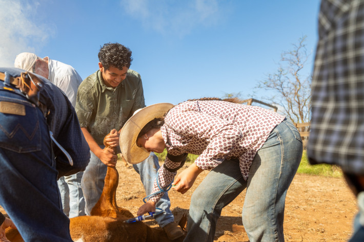 ʻAha Mele returns with songs rooted in Maui Nui paniolo heritage