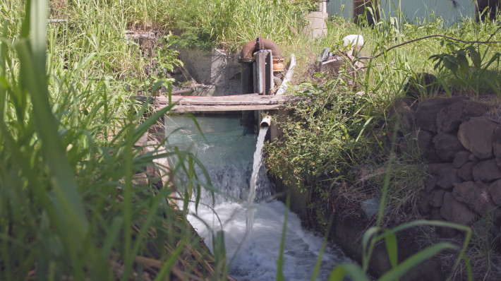 Stewardship of Lahaina Water Resources