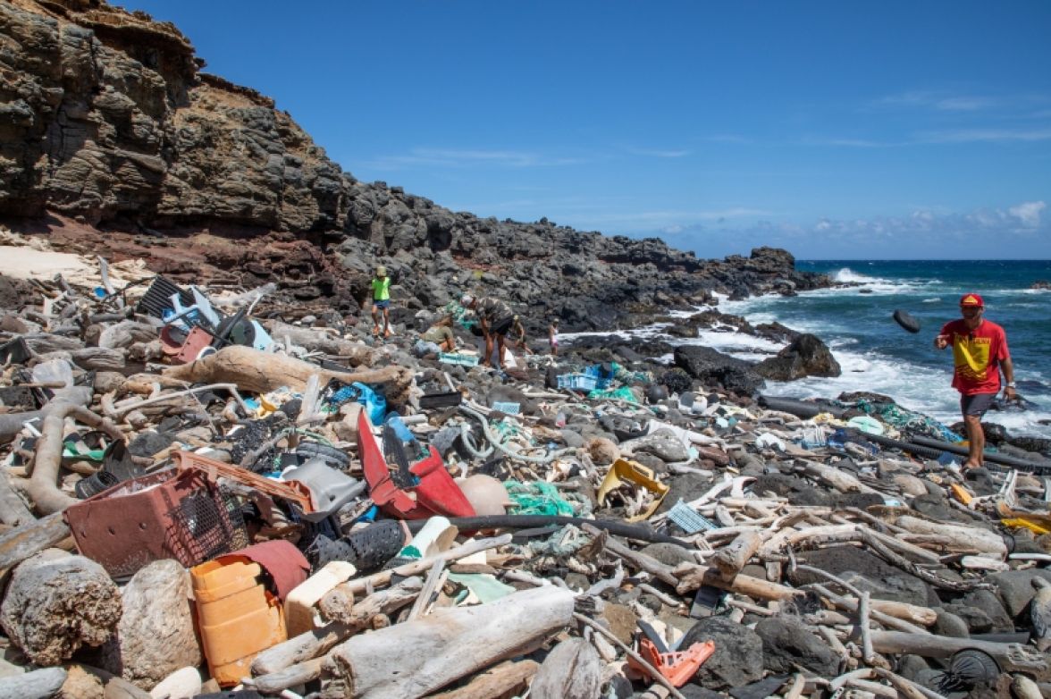 Eco-Friendly Cups, Flasks and Bottles You Can Buy on O'ahu