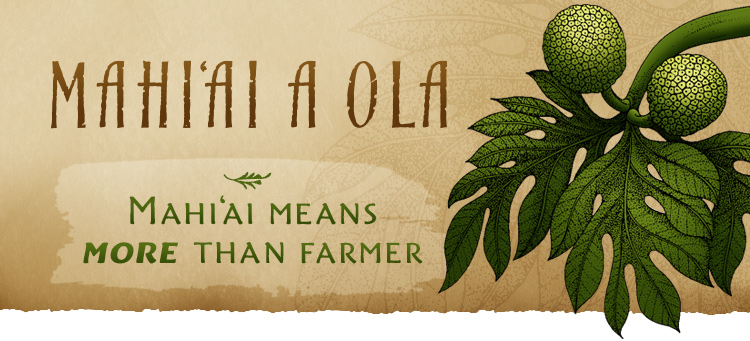 Mahiai a Ola
